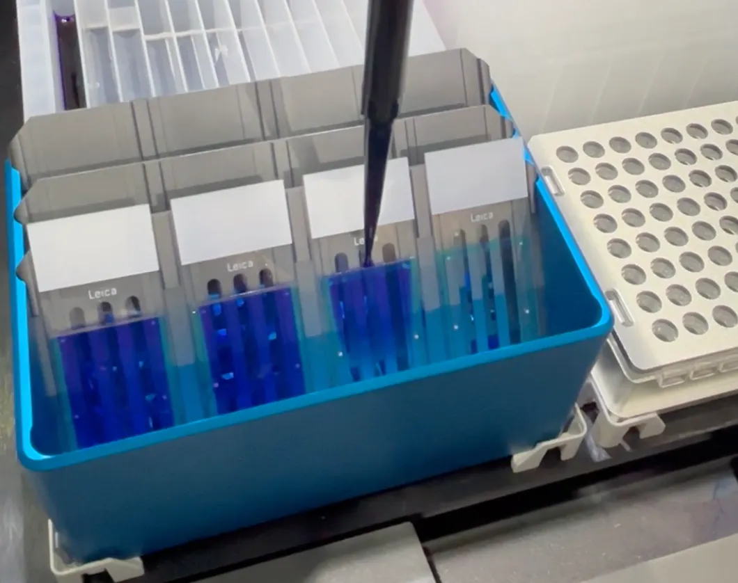Uniform and Gentle Automated Staining