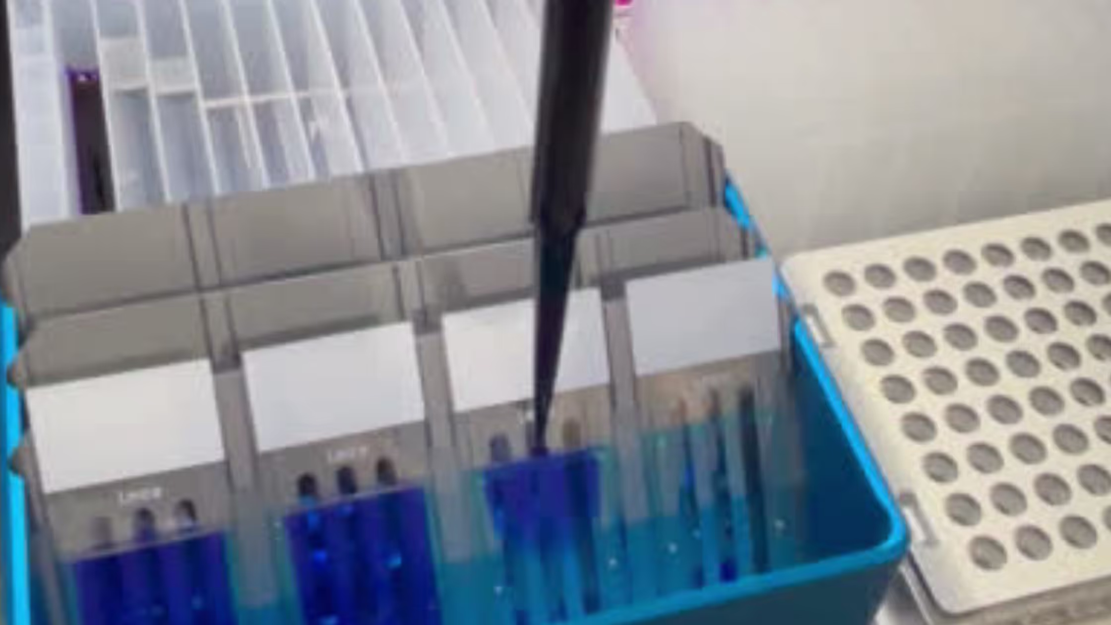 Uniform Capillary Gap Staining