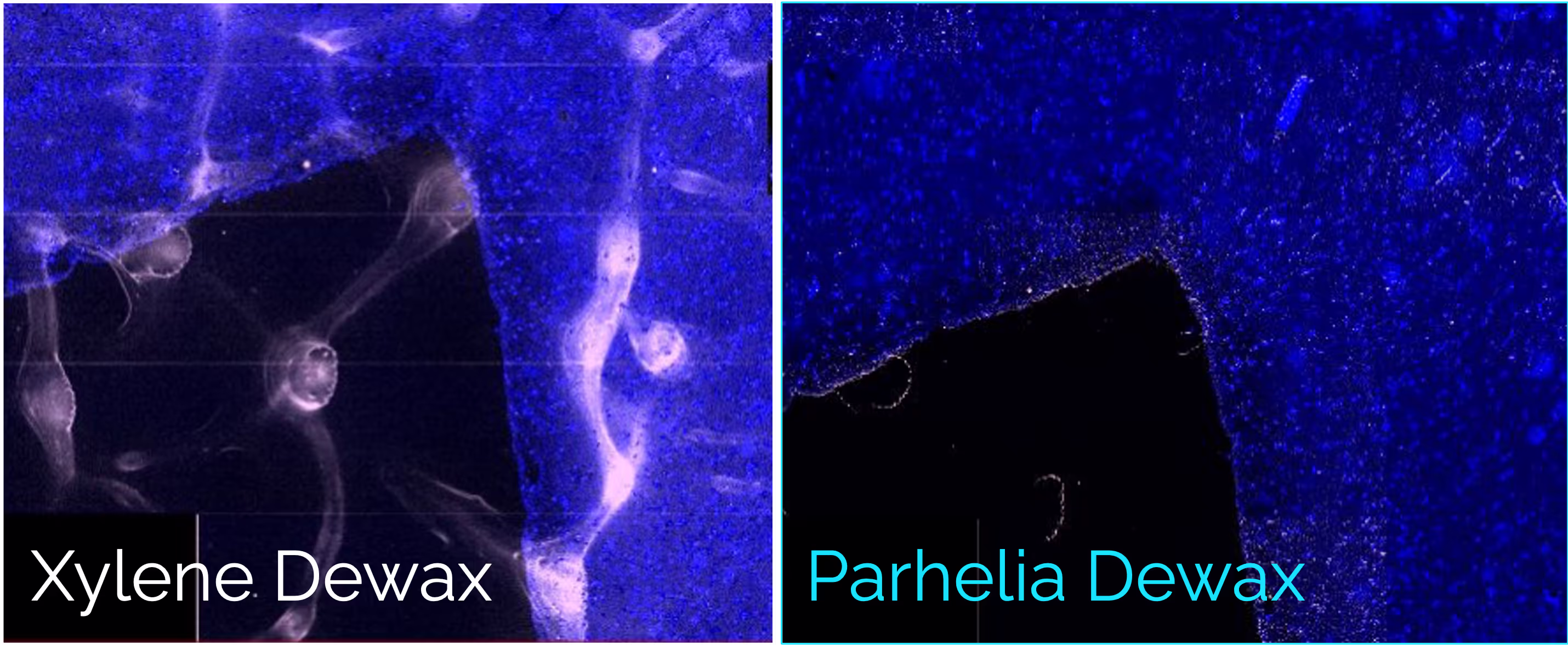 Dewax on the Parhelia Spatial Station