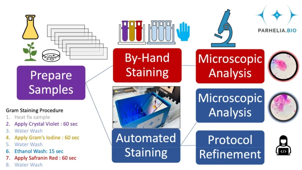 Omni-Stainer Experimental Design for Gram Staining Procedure