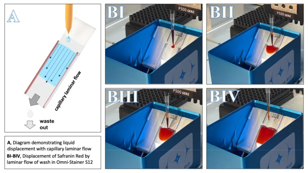 Capillary Action, Laminar flow, liquid displacement in Parhelia Omni-Stainer